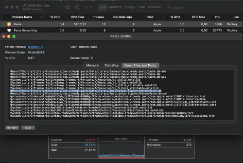 The Paste app's open files and ports, in the macOS Activity Monitor.