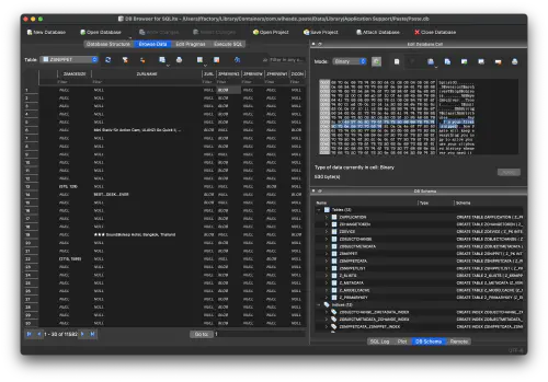 The ZSNIPPET table in Paste's database.